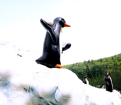 Polar Coaster
